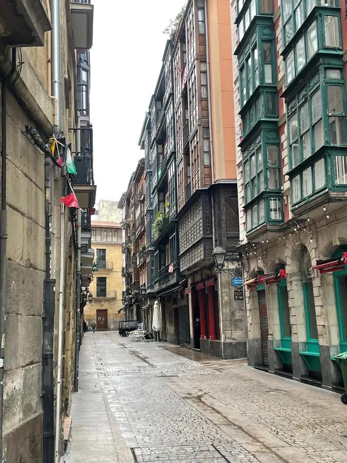 Old Town Palace Bilbao Apartment